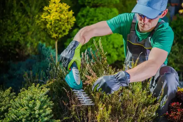 landscaping services Mackinaw City